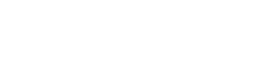 LOGO_CONVERGENCIE_WHITE